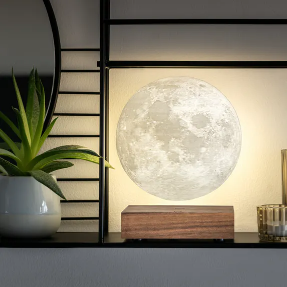 Gingko - Moon Lamp