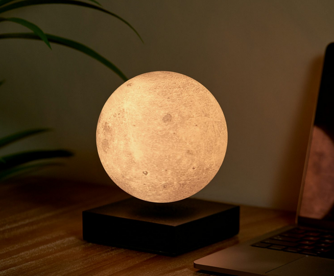 Gingko - Moon Lamp